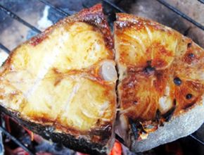 Cá bớp nướng tươi