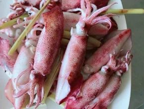 Mực ống hấp xả