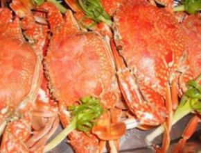 Ghẹ hấp hành gừng